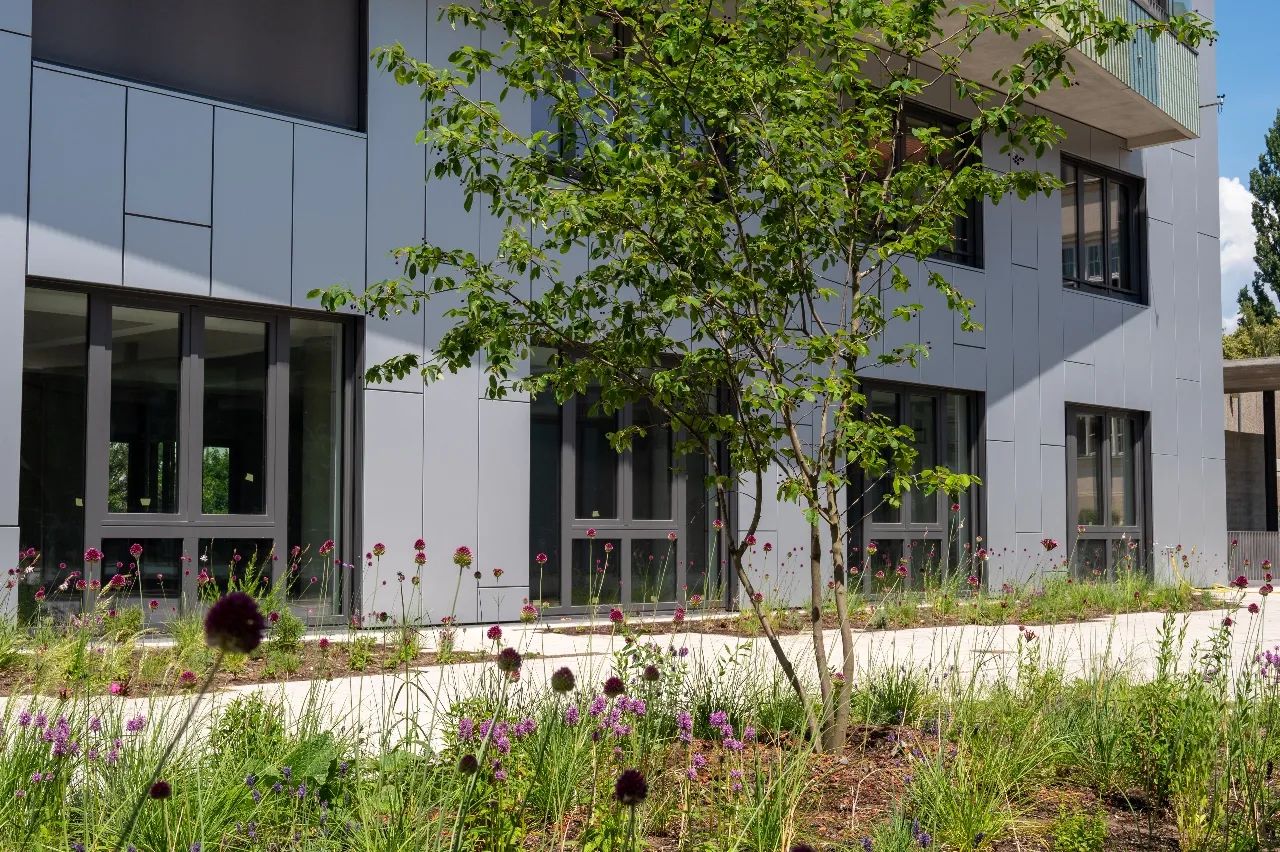 Begrünte Außenanlage mit Baum und Staudenbeet vor einem Bürogebäude