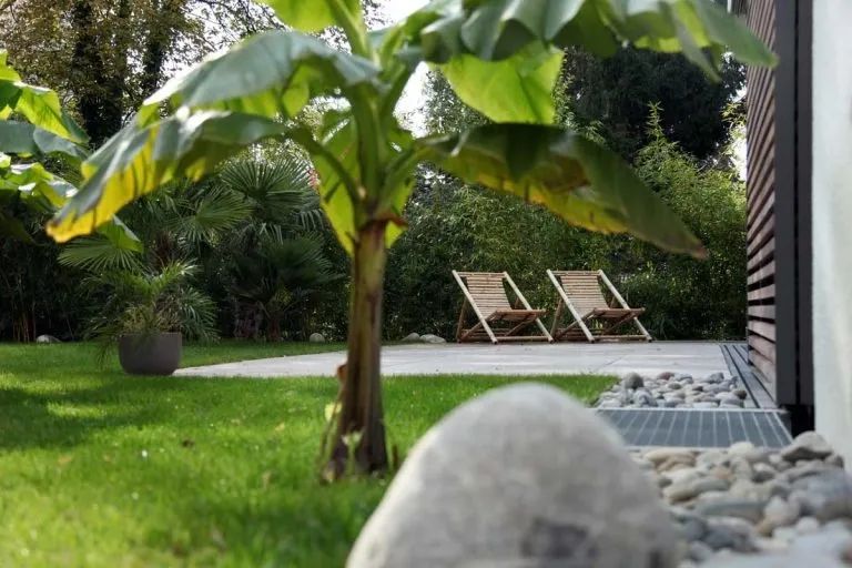 Garten mit Bananenstaude, Rasen und zwei Liegestühlen